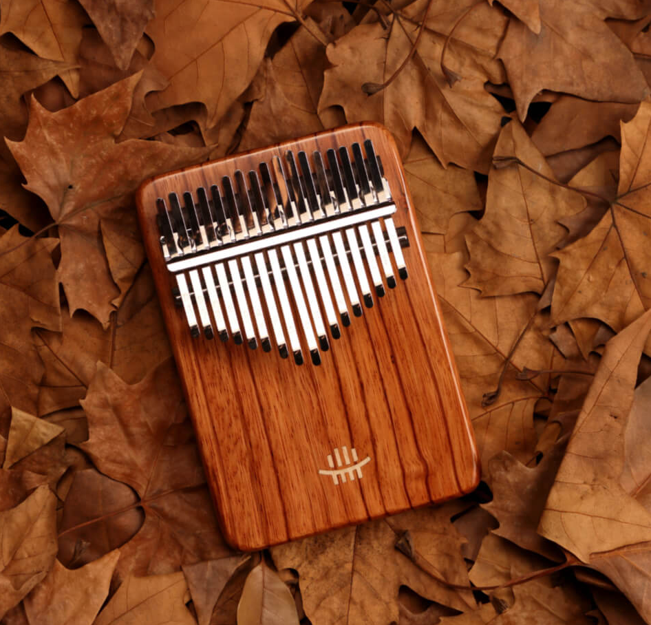 Type of kalimba deals